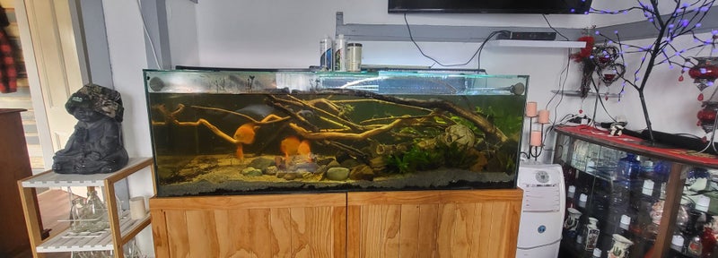 Fish bundle Carousel 2