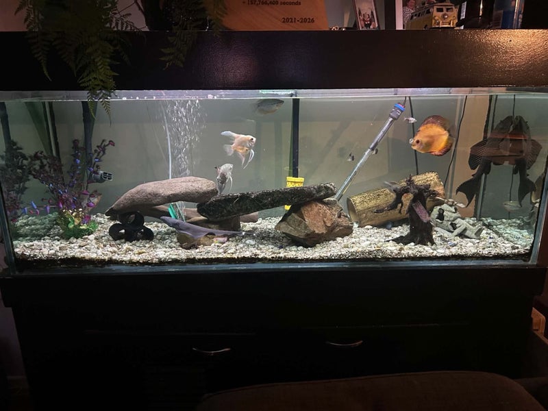 Complete Tank setup 375L (all accessories included) Carousel 1