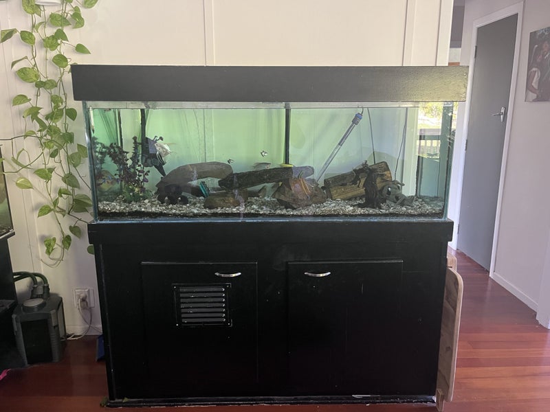 Complete Tank setup 375L (all accessories included) Carousel 2