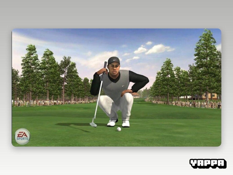 PS2 • Tiger Woods PGA Tour 07 • CIB Carousel 6