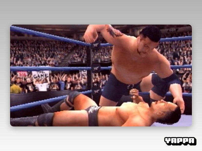 PS2 • WWF SmackDown! Just Bring It • CIB Carousel 5