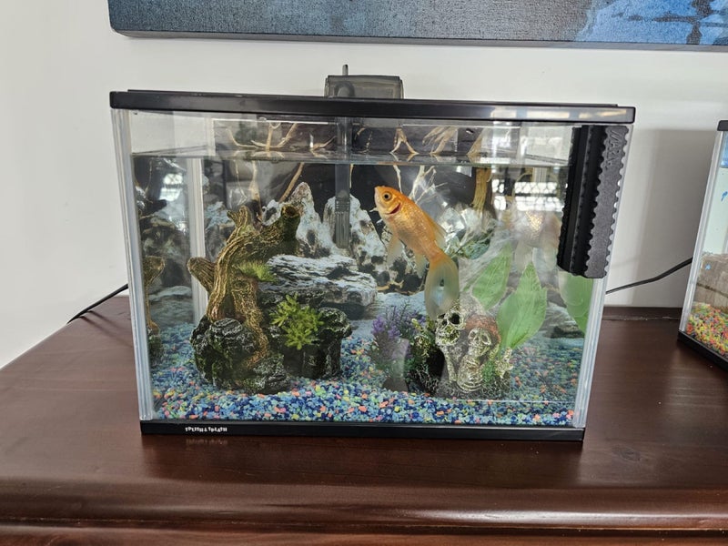 Two Aqua One Splish & Splash - 21 litres Carousel 2