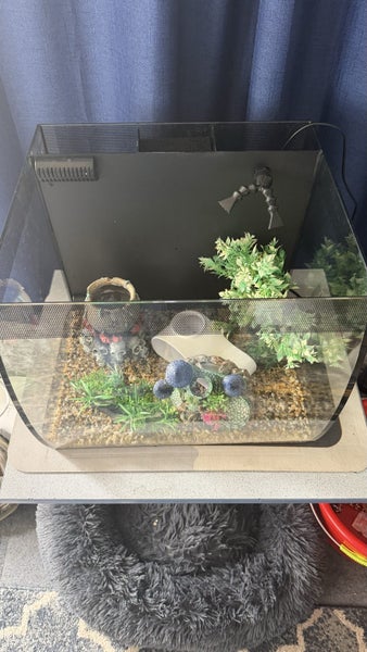 Fluval Flex 57L Curved Glass Black Aquarium Carousel 2