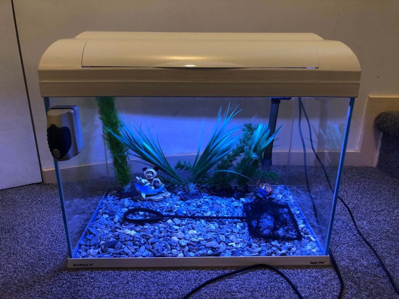 Fish tank $1 reserve Carousel 1