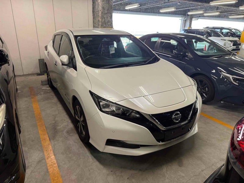 2019 Nissan Leaf X