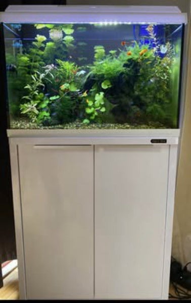 Juwel Primo Lux 60+ Stand Aquarium Carousel 1