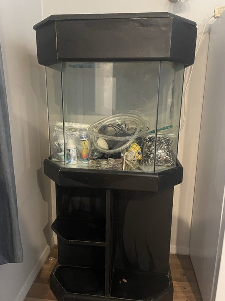 Aquarium / Fish Tank Set Up & Extras Carousel 1