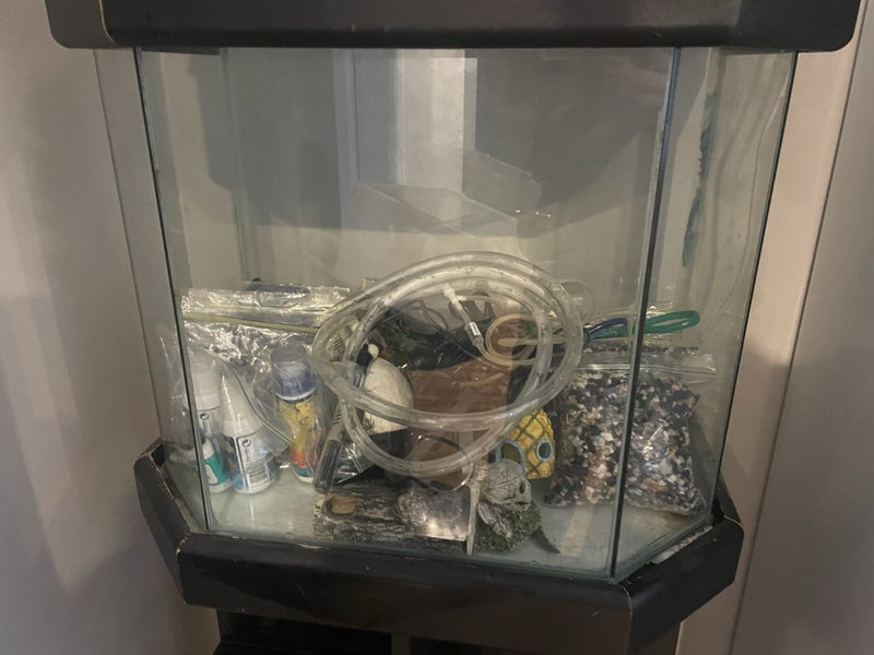 Aquarium / Fish Tank Set Up & Extras Carousel 2