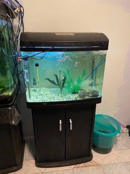 Aqua One AR-620 tank and stand, with accessories Carousel 1