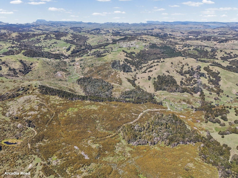 Whangarei, Northland