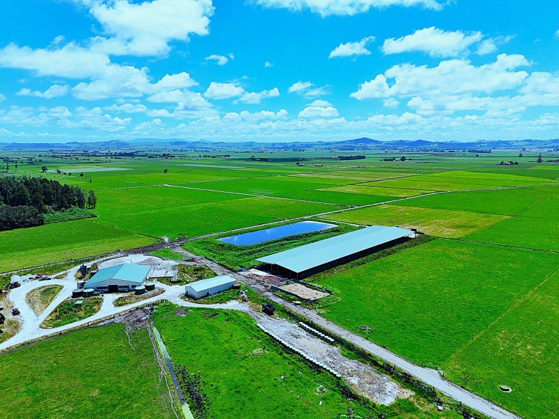 331 Simpson Road, Ruawai, Kaipara, Northland