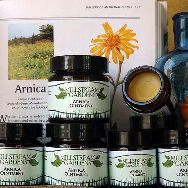 Arnica Ointment 1x 30mL Jar Carousel 2