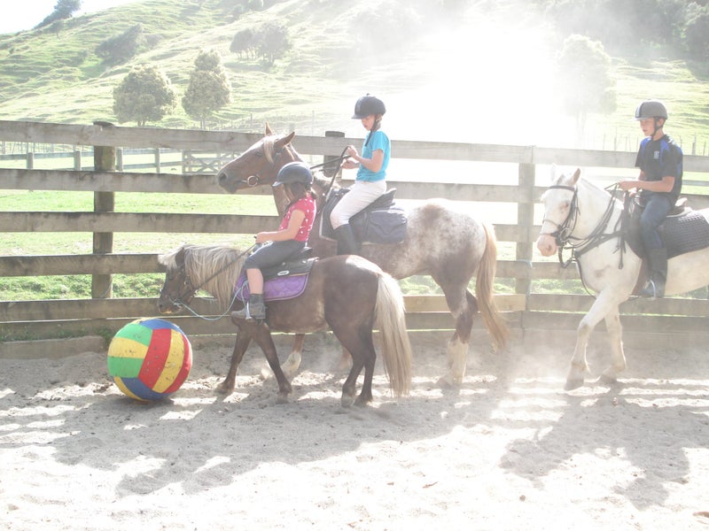 Riding Lessons - farm camps Carousel 2