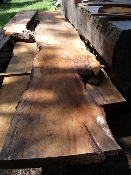 Quality Elm slabs Carousel 2