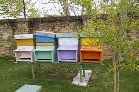 Beehive Paint 2L V.O.C.'s 38 grams per litre Carousel 1