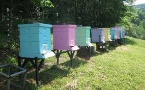 Beehive Paint 2L V.O.C.'s 38 grams per litre Carousel 2