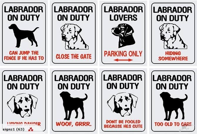 Dog Gate Signs Nz Goldenacresdogs Dog Gate Signs Nz Goldenacresdogs