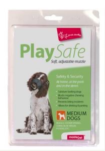 cocker spaniel puppies trade me