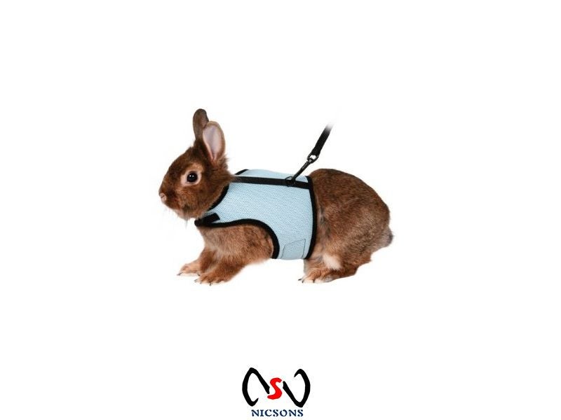 Trixie Soft Rabbit Harness With Leash Carousel 1