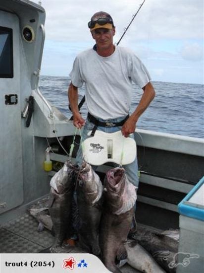 3 x 3 Hook Puka / Groper Rigs - SS Hooks - Hooker , NZ MADE Carousel 2