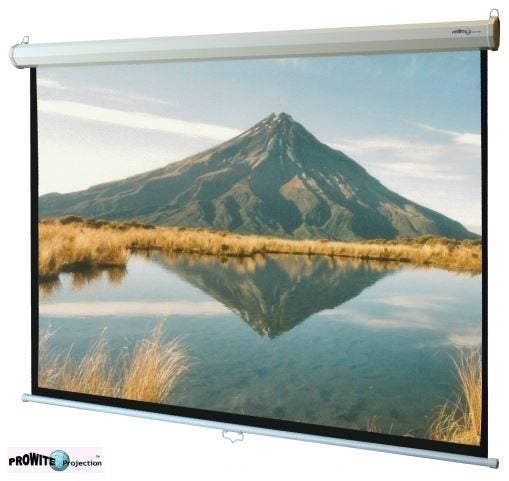 Manual Projector Screen 3.05x2.29m Carousel 2