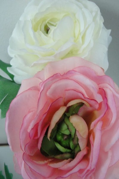 Ranunculus Pick - Pink Carousel 2