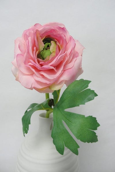 Ranunculus Pick - Pink Carousel 1