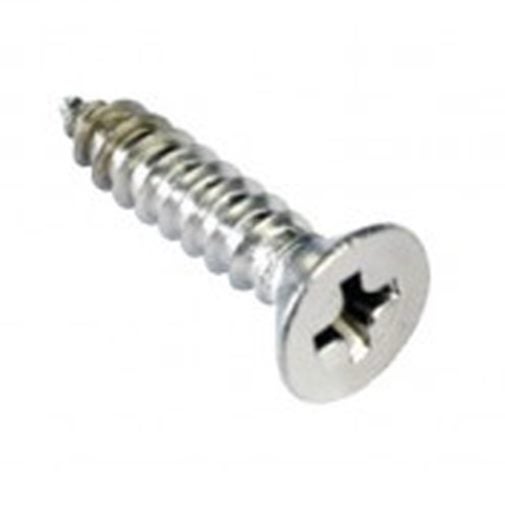 Champion 8G x1in S/Tapping Screw Csk Hd Phillips 304/A2-30pk Carousel 1