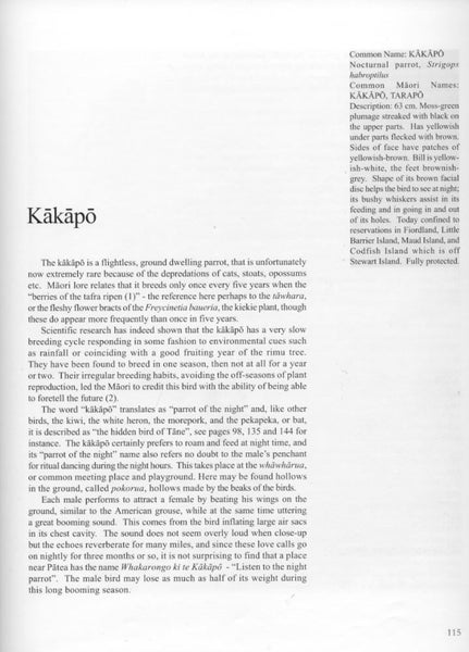 Maori Bird Lore: An Introduction by Murdoch Riley Carousel 2