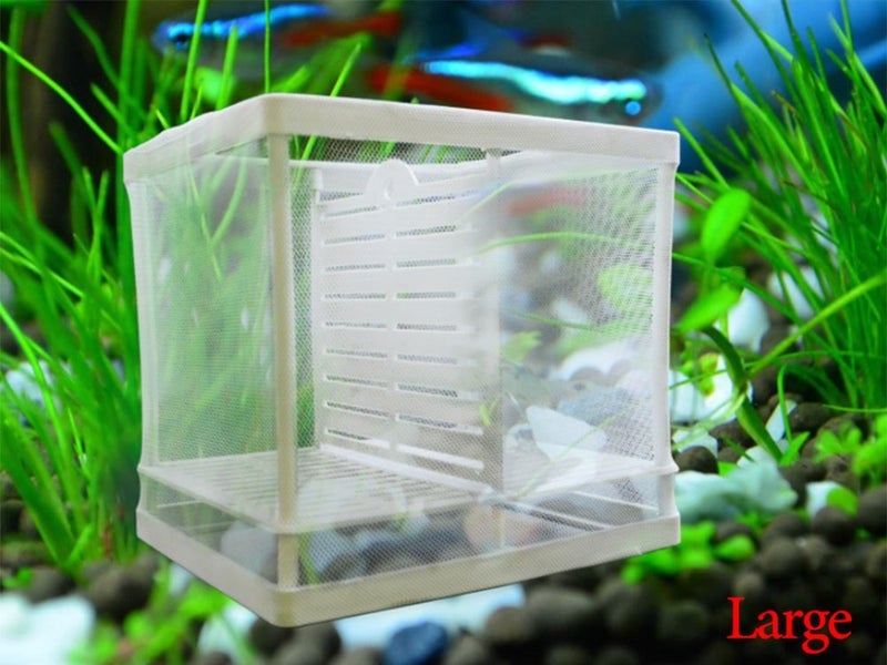 Fish Tank Aquarium Net Breeder Fish Hatchery (L) Carousel 1