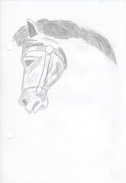 2 sketches for a buck Carousel 17