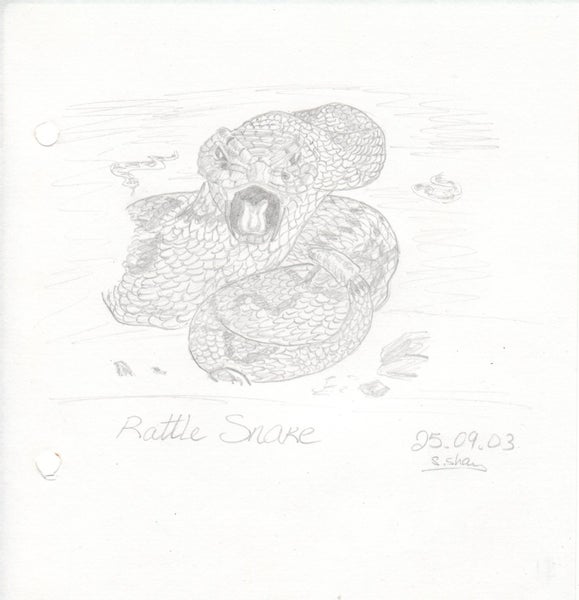 Various sketches for a buck Carousel 2
