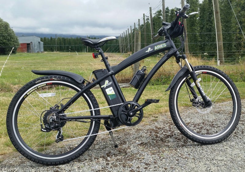 giant stance e  2 2019 electric mountain bike