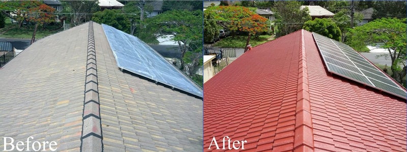 Auck/Need paint your roof ?Roof paint( Northshore) Carousel 1
