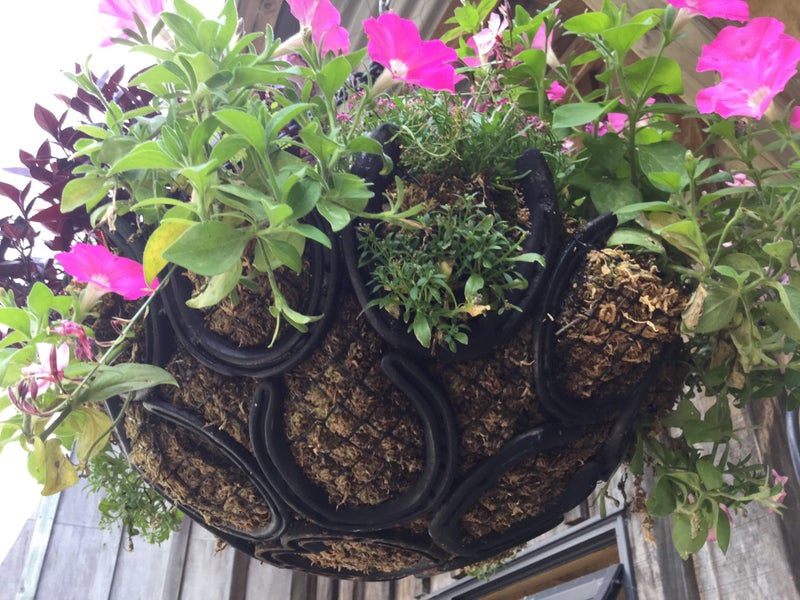 HANGING BASKET - UNIQUE - MADE FROM HORSESHOES Carousel 1