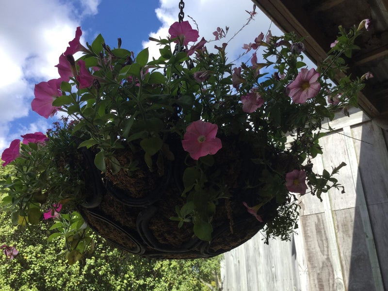 HANGING BASKET - UNIQUE - MADE FROM HORSESHOES Carousel 2