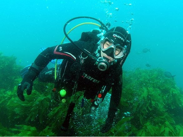 SSI OPEN WATER Scuba Diving COURSE62979521257730111