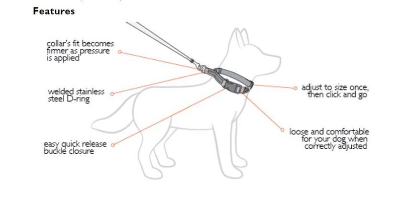 Dog Collar - EzyDog Checkmate Large - Blue Carousel 3