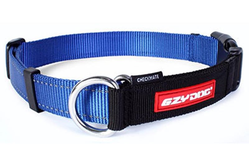 Dog Collar - EzyDog Checkmate Large - Blue Carousel 1