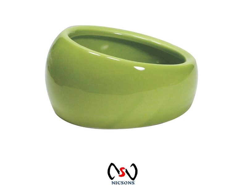Living World Ergonomic Dish For Rabbits & Guinea Pigs Large 420ml Green Carousel 1