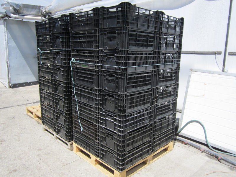 BLACK FRIDAY SPECIAL! THIS WEEK ONLY Plastic Boxes x 40, Stackable64426126323714112