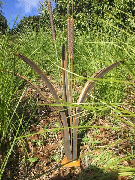 BULLRUSH - RAUPO REED PLANT 1 metre tall Carousel 2