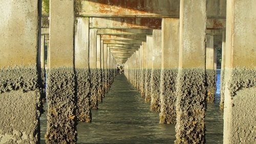 Wooden Wave Art Kiwiana Mount Maunganui Tauranga Canvas. PRICE REDUCED Carousel 1