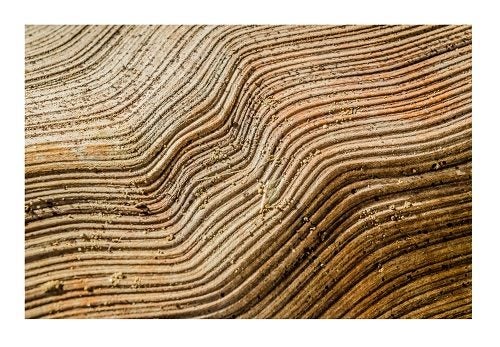 Wooden Wave Art Kiwiana Mount Maunganui Tauranga Canvas. PRICE REDUCED Carousel 2