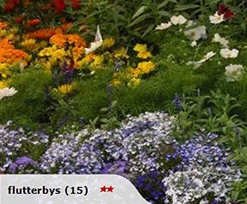 Butterfly nectar wildflowers Carousel 1