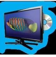 Television Uniden 24 inch, 12v , 24v , 230 v DVD Carousel 1