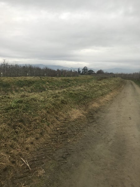 Hedge Trimming Property Service Tasman Nelson Carousel 17