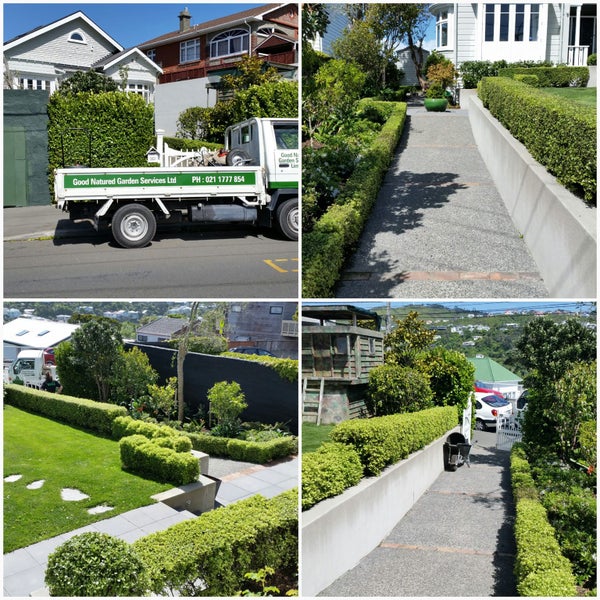 Good Natured Garden Services Ltd Carousel 11
