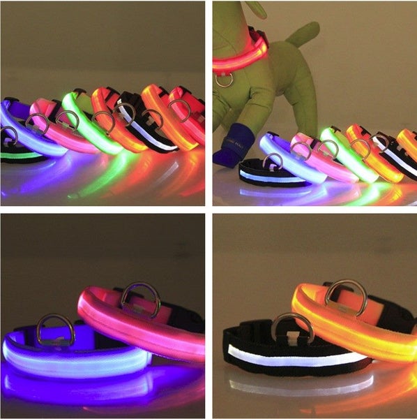 Dog Collar LED BARGAIN Small-Medium Collar Carousel 2