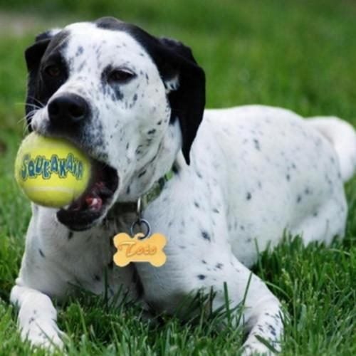 KONG AIR SQUEAKER TENNIS BALL XTRA LARGE Carousel 1